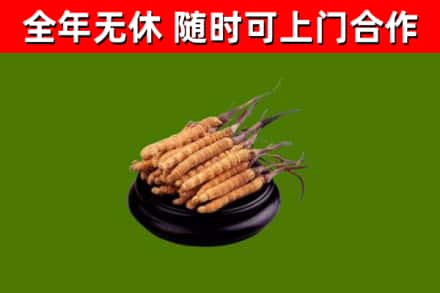 黄石烟酒回收冬虫夏草.jpg